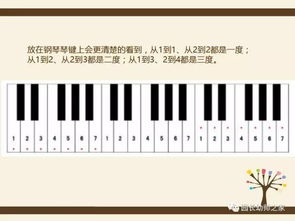 键盘与幼儿歌曲伴奏课程标准