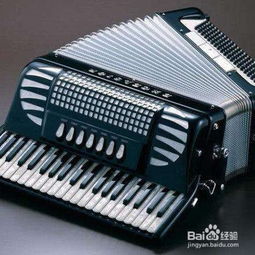 键盘乐器有什么乐器