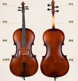 大提琴和小提琴怎么选