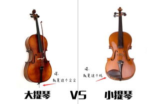 小提琴大提琴哪个好