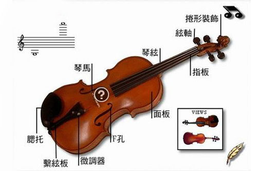 小提琴和大提琴哪个更好学