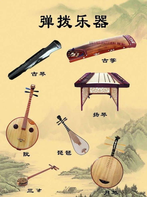 弹拨乐器是中国民族乐器吗