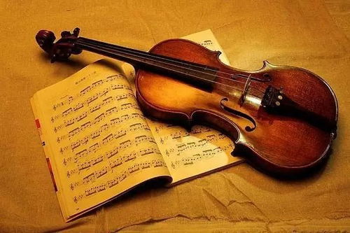 大提琴和小提琴哪个更有气