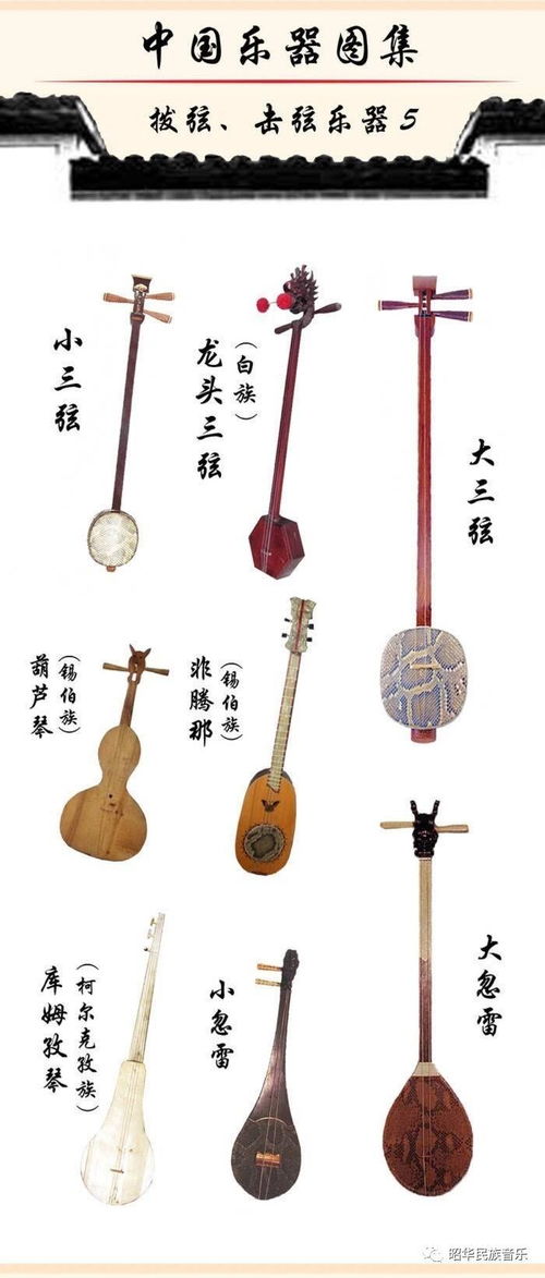 乐器文化的起源与发展