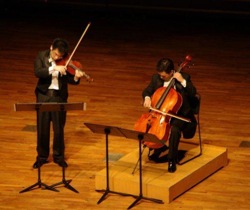 小提琴大提琴的区别和联系
