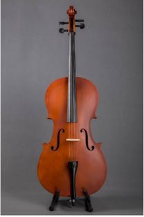 大提琴和小提琴怎么选比较