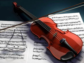 小提琴与大提琴选购要点区别大吗
