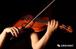 小提琴和大提琴的演奏方法