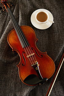 小提琴和大提琴哪个更有气