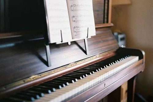 钢琴的日常保养中，需要注意些什么问题呢?