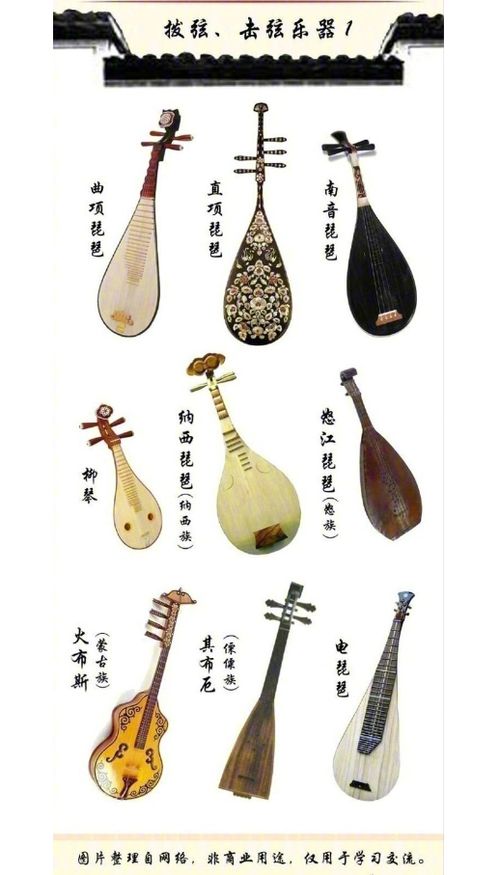 中国弹拨乐器有哪几种