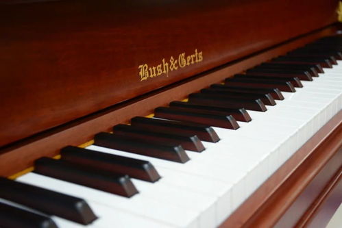 钢琴保养小知识